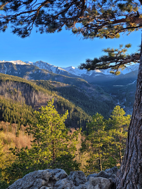 panorama Tatr widziana ze szczytu Nosala